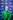 /files/player_photos/5461.jpg