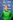 /files/player_photos/6929.jpg